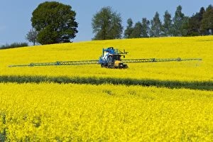Images Dated 3rd May 2012: Crop Spraying - of herbicides on Oil - seed Rape