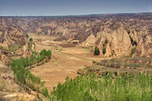 Images Dated 5th August 2010: Crops and trees at Yellow River Valley