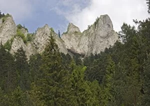 Three crowns limestone peaks in the Pieniny National Park