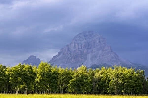 Stormy Gallery: Crowsnest Mountain at Crownest Pass in Alberta