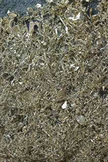 Images Dated 27th January 2006: Crystalline Gold in volcanic - Andesite Olinghouse Mine - Washoe County - Nevada-USA