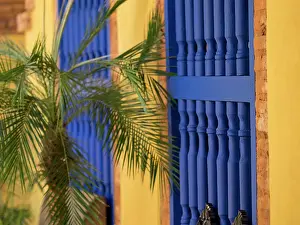 Palm Prints: Cuba, Trinidad, UNESCO World Heritage Site