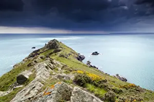 Landscapes Prints: Cudden Point - looking to Land's End - near Perranuthnoe, Cornwall, UK
