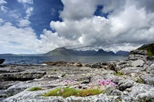 Images Dated 13th June 2013: Cullins - from Elgol Beach with Thift