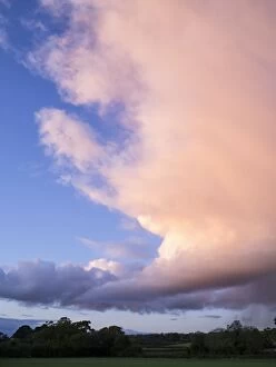 Images Dated 19th October 2011: Cumulonimbus cloud at sunset