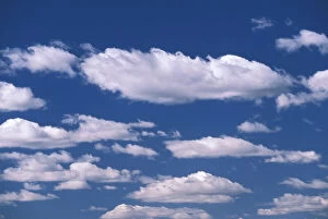 Images Dated 3rd March 2009: Cumulus cloud pattern