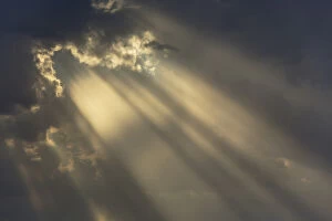 Storm Gallery: Cumulus cloud and rays of sunlight in the evening