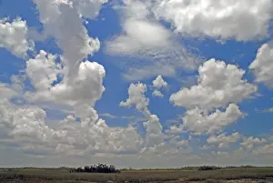 Everglades Prints: Cumulus clouds developing over Shark Valley, Everglades National Park, Florida, USA