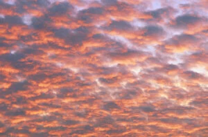 Images Dated 3rd March 2009: Cumulus clouds at sunset