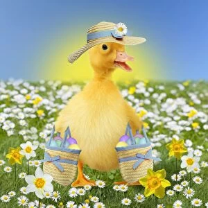 Cute ducking in spring flowers wearing an Easter bonnet hat