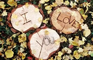 Plants Collection: Cute - 'I Love You' carved in wood