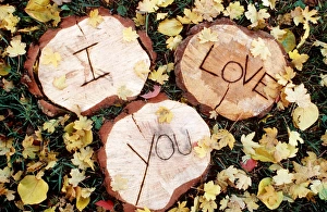 Plants Collection: Cute - 'I Love You' carved in wood
