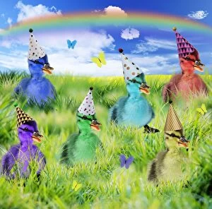 Cute rainbow ducklings wearing party hats in spring