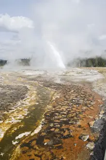 Geyser Prints: Daisy Geyser with colourful run off - Old Faithful area - Yellowstone NP - USA