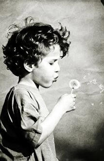 Blowing Gallery: Dandelion Clock - 4 year old child blowing seeds