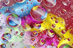 Bubbles Prints: DDE-90019053