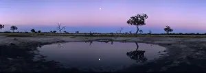 Flood Prints: DDE-90019373