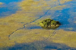 Flood Prints: DDE-90019399