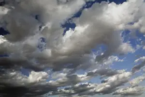 Cumulus Prints: DDE-90019529