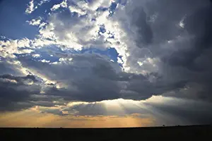 Sunbeams Prints: DDE-90019620