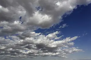 Cumulus Prints: DDE-90019676
