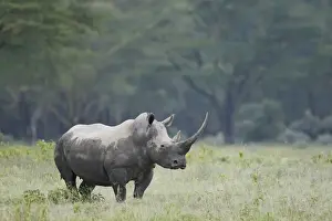 Nakuru Prints: DDE-90019830