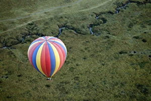 Ballooning Collection: DDE-90020288
