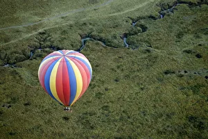 Ballooning Collection: DDE-90020288