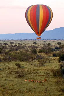 Ballooning Collection: DDE-90020289