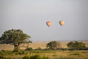 Ballooning Collection: DDE-90020300