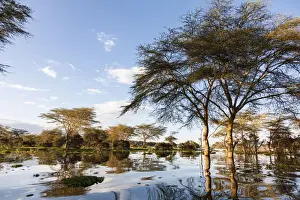 Flooding Prints: DDE-90020358