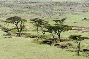 Deserted Prints: DDE-90020384