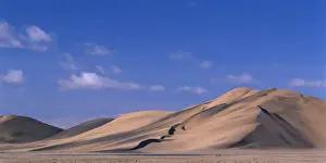 Grains Prints: DDE-90020629