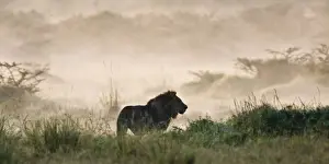 Nakuru Prints: DDE-90020670