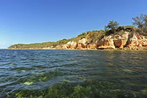 Diego Prints: DDE-90020914