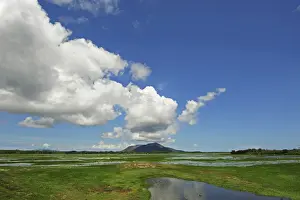 Inland Prints: DDE-90020922
