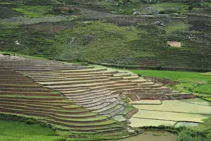 Terraced Prints: DDE-90020933