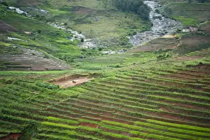 Terraced Prints: DDE-90020934