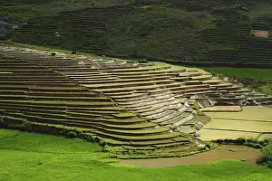 Terraced Prints: DDE-90020936