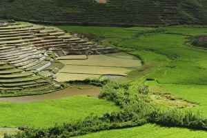 Terraced Prints: DDE-90020937