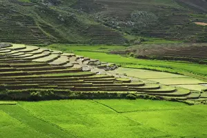 Terraced Prints: DDE-90020938