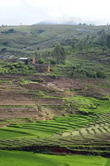 Terraced Prints: DDE-90020939