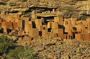 Civilization Prints: DDE-90021165