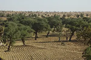 Lands Prints: DDE-90021168