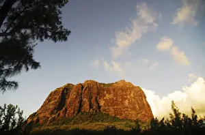 Morne Prints: DDE-90021181