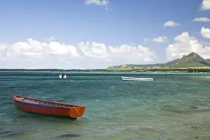 Mauritius Prints: DDE-90021184