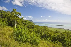 Mauritius Prints: DDE-90021186