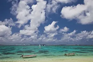 Beachfront Prints: DDE-90021194