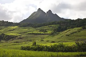 Mauritius Prints: DDE-90021207