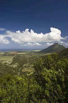 Mauritius Prints: DDE-90021214